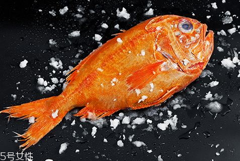 長(zhǎng)壽魚(yú)多少錢(qián)一斤 長(zhǎng)壽魚(yú)為什么叫長(zhǎng)壽魚(yú)