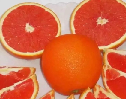 雪橙的功效與作用 雪橙的營養
