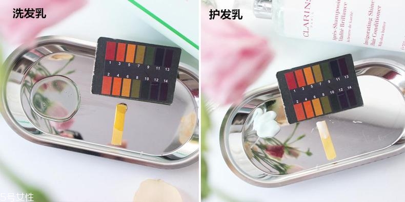 嬌韻詩無硅油洗發水怎么樣 嬌韻詩無硅油洗發水評測