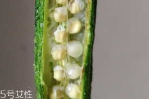 秋葵干好吃嗎？秋葵干怎么吃？