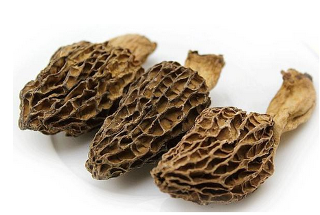 羊肚菌是發物嗎？羊肚菌屬于發物嗎？
