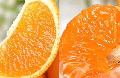 青見柑橘好吃嗎？青見柑橘酸嗎