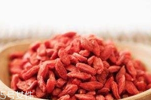 枸杞是哪個地方的特產(chǎn)？哪里產(chǎn)的枸杞好？