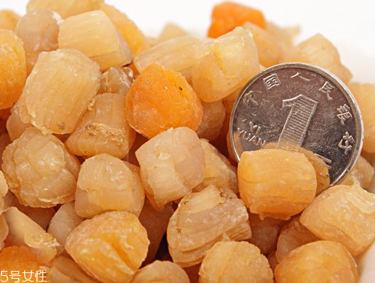 干貝是瑤柱嗎？干貝跟瑤柱的區別