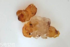 桃膠可以用開水泡嗎？用開水泡桃膠好嗎？