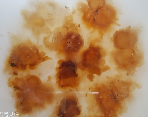 桃膠可以用開水泡嗎？用開水泡桃膠好嗎？