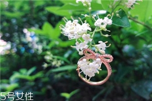 戒指掉進下水道怎么辦？戒指掉下水道了怎么撿