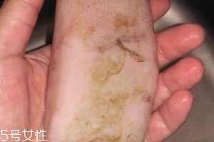 魷魚是海鮮嗎？魷魚屬于海鮮嗎？