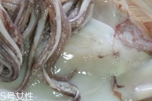 魷魚是烏賊嗎？魷魚跟烏賊是一種嗎？