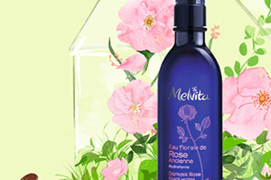 melvita蜜葳特什么值得買？蜜葳特明星產品