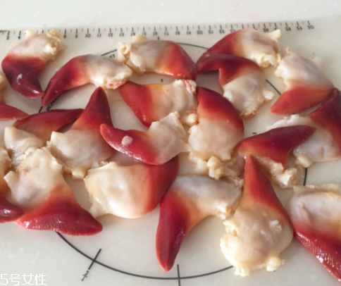 北極貝是海鮮嗎？北極貝介紹
