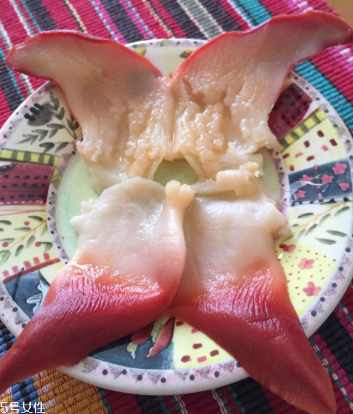 北極貝是海鮮嗎？北極貝介紹