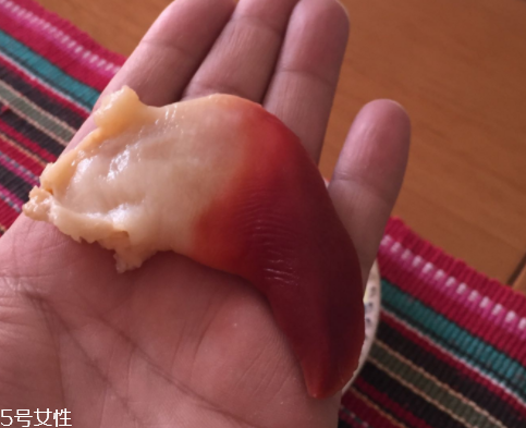 北極貝是海鮮嗎？北極貝介紹