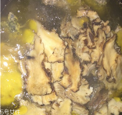 烏骨雞是烏雞嗎？烏骨雞是什么雞？