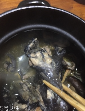 烏雞是公雞好還是母雞好？烏雞買公雞還是母雞？