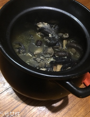 烏雞是公雞好還是母雞好？烏雞買公雞還是母雞？
