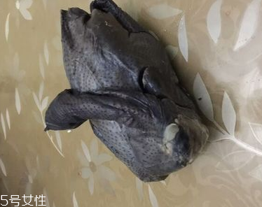烏雞是熱性還是涼性？烏雞偏熱還是偏涼？