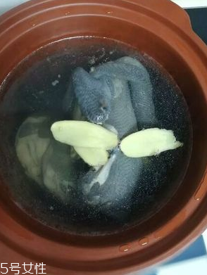 烏雞是熱性還是涼性？烏雞偏熱還是偏涼？