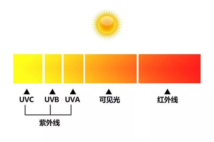 蘭嘉絲汀什么產品最好 蘭嘉絲汀哪里能買到正品