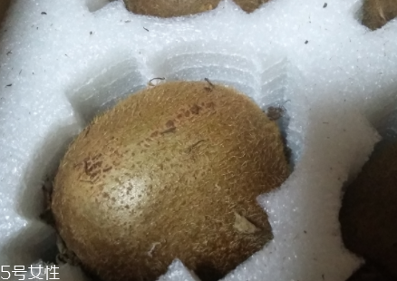 綠心獼猴桃硬的能吃嗎？硬的綠心獼猴桃能吃嗎？