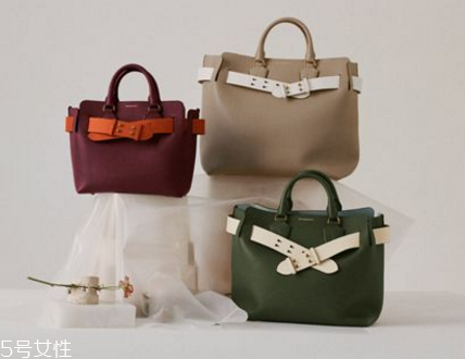 burberry the belt bag多少錢？巴寶莉貝爾特包專柜價格