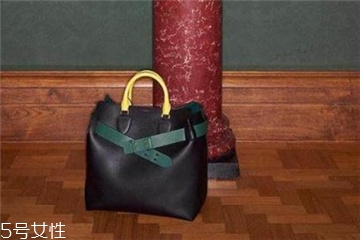 burberry the belt是什么皮？巴寶莉貝爾特包材質