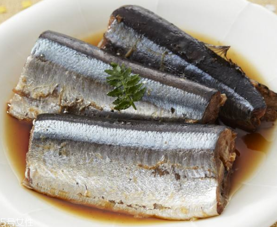 青魚怎么釣？青魚可以用什么餌料？
