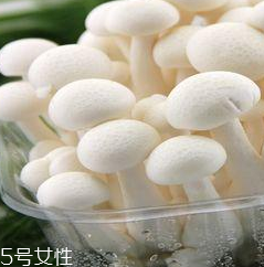 白玉菇的營養價值 白玉菇有什么營養？