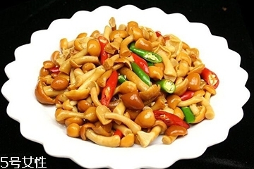 滑子菇是什么？滑子菇能吃嗎？