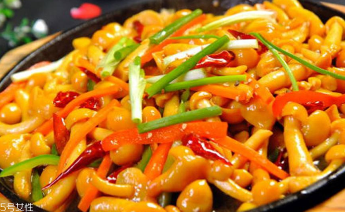 滑子菇野生和滑子菇養殖的區別 野生滑子菇的好嗎？