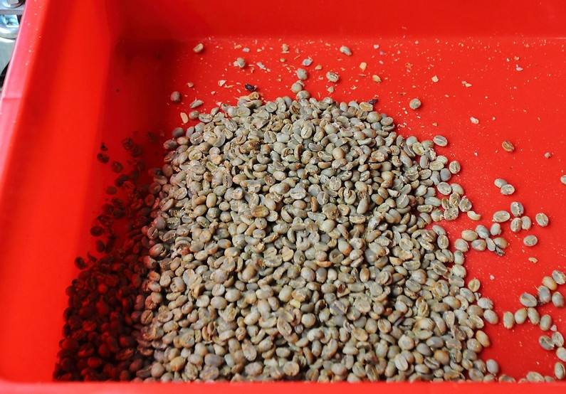 咖啡豆新豆、舊豆、老豆各有什么特色