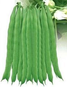 蕓豆能生吃嗎？蕓豆生吃會怎樣？