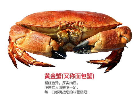 面包蟹肉多嗎？面包蟹幾月份最肥