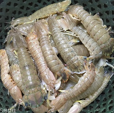 皮皮蝦能和櫻桃一起吃嗎？皮皮蝦和櫻桃可以同吃嗎？