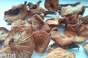榛蘑和茶樹菇的區別 榛蘑和茶樹菇能一起吃嗎