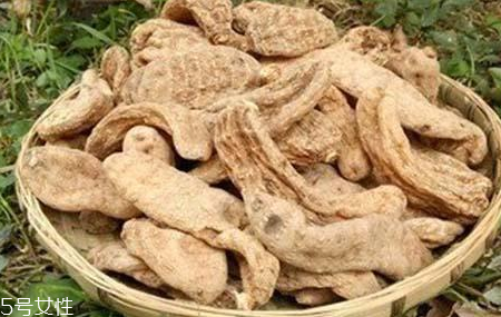 榛蘑和天麻的關系 榛蘑和天麻有什么聯(lián)系？