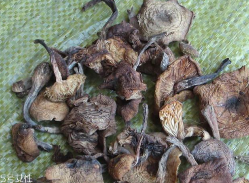 榛蘑能保存多久？干榛蘑怎么保存最好？