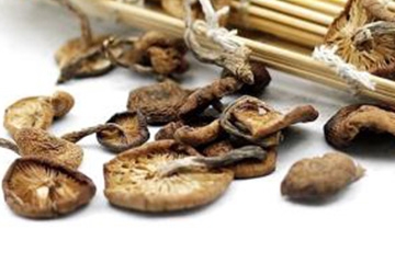 榛蘑可以煲鴨肉嗎？榛蘑可以煲鴨肉