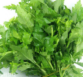 菊花腦是苦的嗎？菊花腦苦不苦？