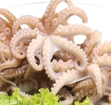 章魚是什么顏色？章魚是什么樣子？