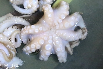 章魚會噴墨汁嗎？章魚的墨汁能吃嗎？