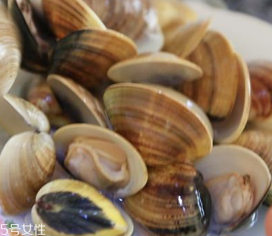 文蛤是海鮮還是河鮮？文蛤是海鮮嗎？