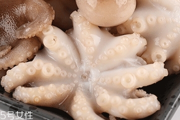 章魚可以炸嗎？章魚能油炸嗎？
