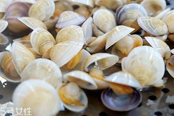文蛤是淡水還是海水？文蛤是淡水水產嗎？