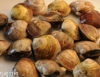 文蛤是冷水煮還是熱水？文蛤是用熱水嗎？