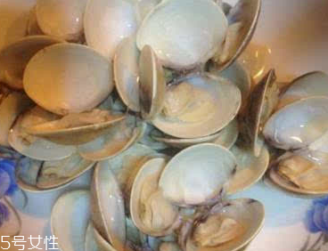 文蛤能給孕婦吃嗎？孕婦能不能吃文蛤？