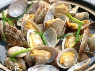 文蛤的養殖 文蛤怎么養？