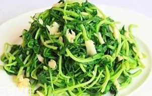 馬蘭頭能給孕婦吃嗎？孕婦能吃馬蘭頭嗎？
