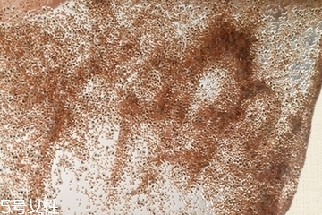 海藻面膜會發芽嗎？真的海藻面膜會發芽嗎？