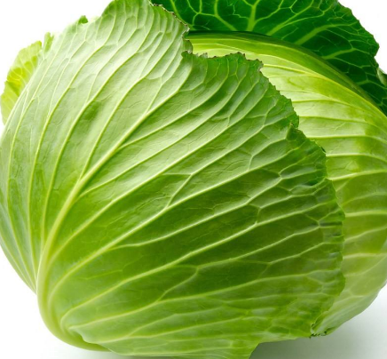 牛心菜能多吃嗎？牛心菜吃多了會怎樣？